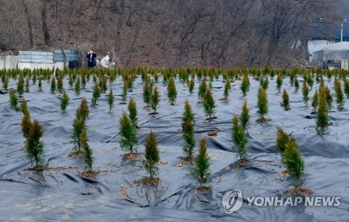 전문가들 "정보 있으면 떼돈 버는 신도시정책…근본적 개선해야"