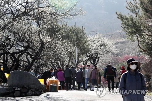 3월 첫 주말 전국 유원지·관광지, 상춘객 발길 이어져