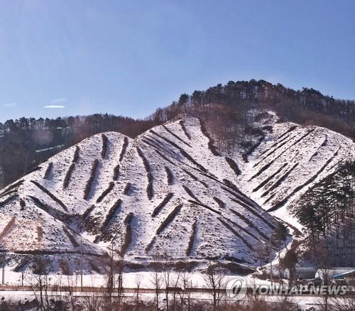 3월 첫 주말 전국 유원지·관광지, 상춘객 발길 이어져