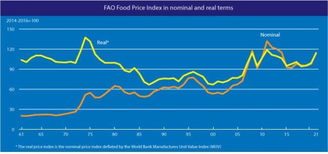 세계식량가격지수 9개월 연속 상승…상승폭은 전월보다 둔화