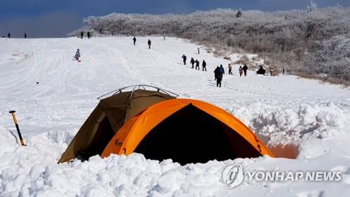 겨울철 무분별한 야영·취사 행위 여전…동부산림청 9건 적발