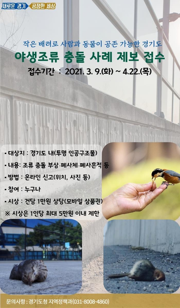 경기도, '투명창 조류충돌 사례' 제보 접수