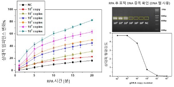 병원성 대장균, 현장에서 5분 안에 고감도로 검출한다