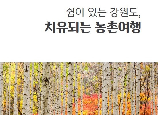 강원농기원 농촌 치유 마을·농장 소개 책자 발간