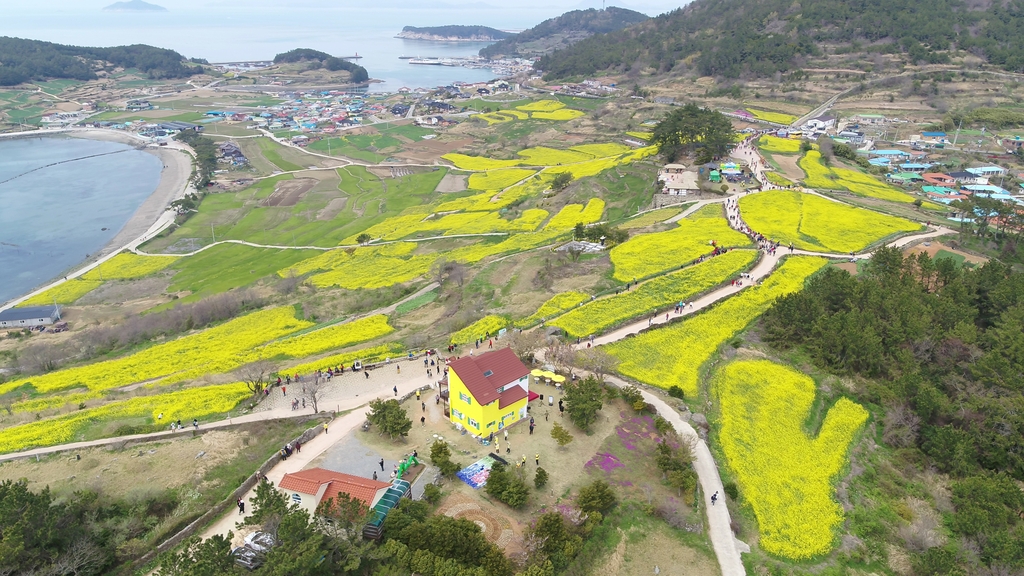 완도 청산도 슬로걷기·목포 유달산 봄 축제 취소