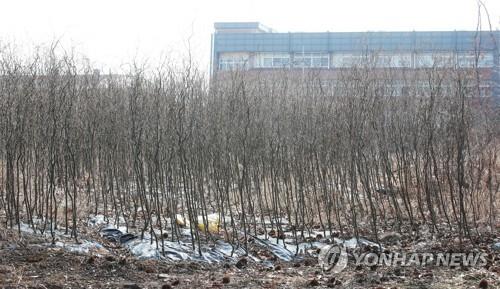 3기 신도시 발표 직전 일제히 토지 거래 급증…'정보 유출 의혹'