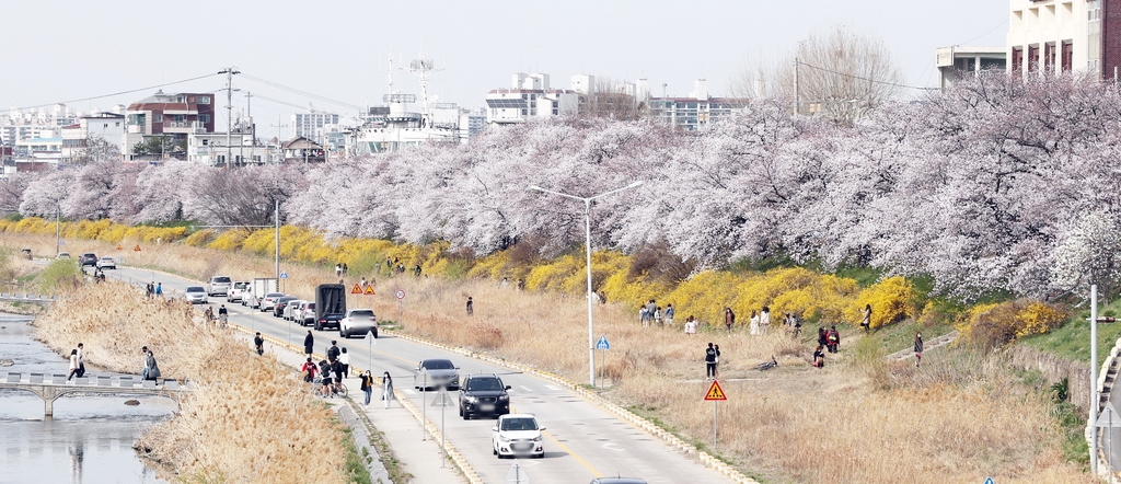 [사진 톡톡] 꽃이 피어야 봄이다