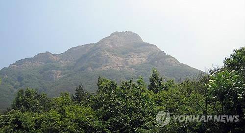 충남 대둔산에 생물 1천488종…멸종위기·천연기념물 13종 확인