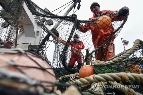 [에따블라디] 코로나에 명태가격 폭락…아프리카 판로 눈독