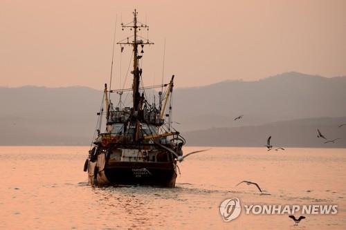 [에따블라디] 코로나에 명태가격 폭락…아프리카 판로 눈독