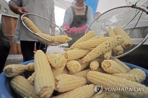 홍천군 축제 변화 속도…별도 축제조직위 구성