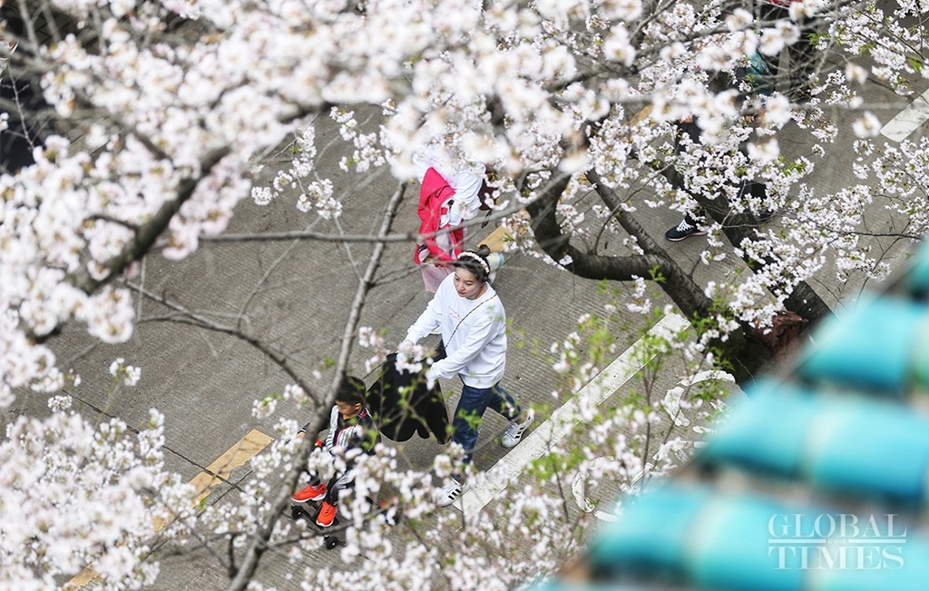 中 '벚꽃 명소' 우한대, 의료진 초청 코로나19 극복 과시