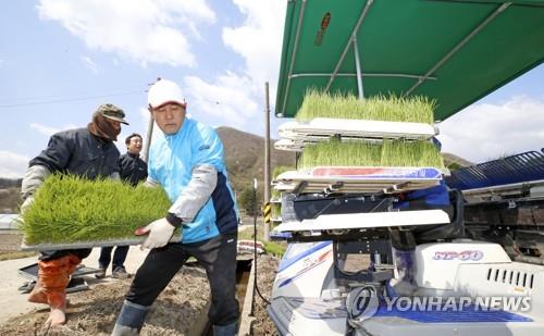 전북도, 영농철 맞아 '농업인력 지원대책' 추진…일손 부족 해소