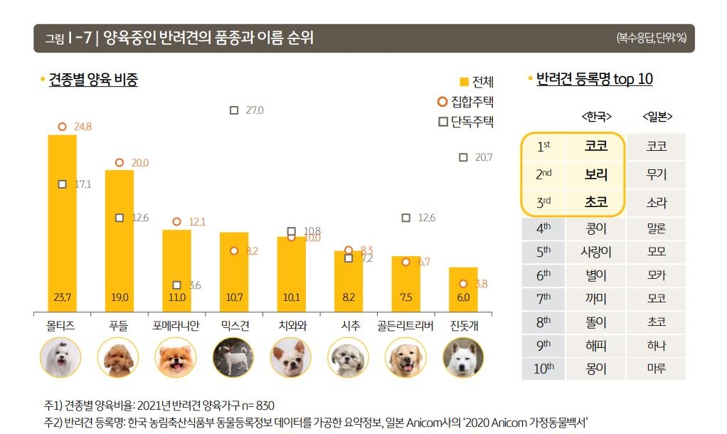 반려동물 4마리 중 3마리는 매일 6시간 '나홀로 집에'