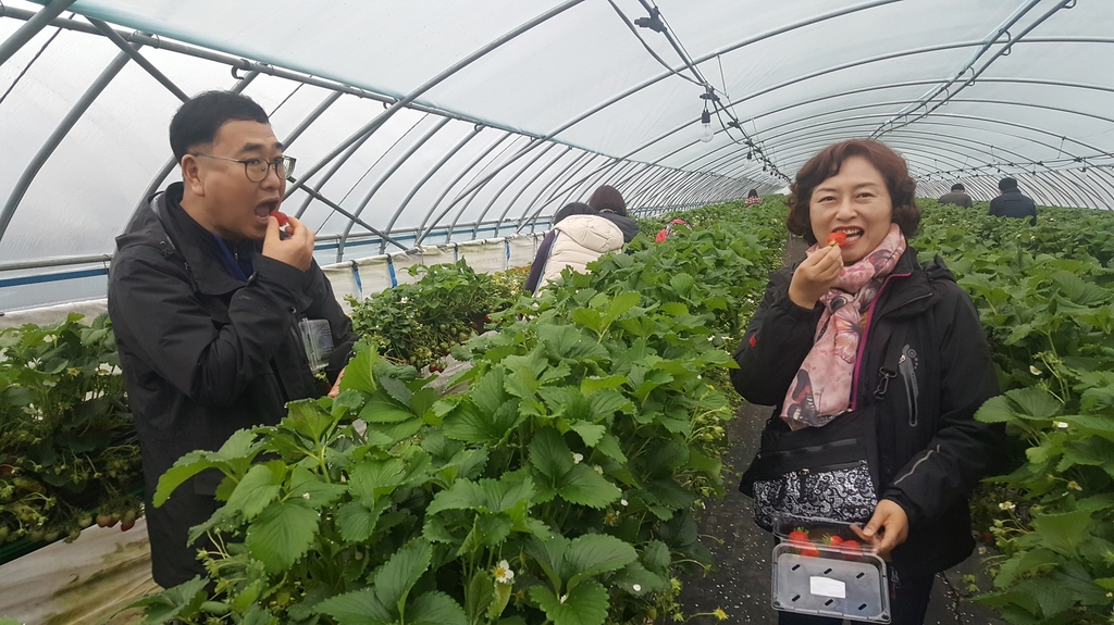 체류형 관광프로그램 '강진에서 일주일 살기' 예약 완료