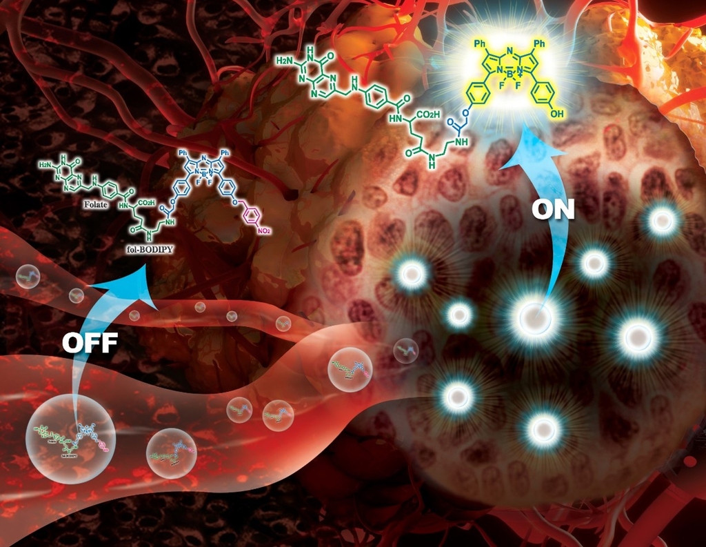 암조직 찾아내는 형광화합물 개발…"저산소증 감지해 20배 신호"