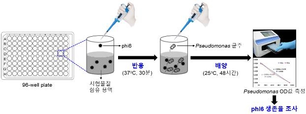 '바이러스 제거' 천연물질 탐색법 개발…코로나 예방 응용 기대