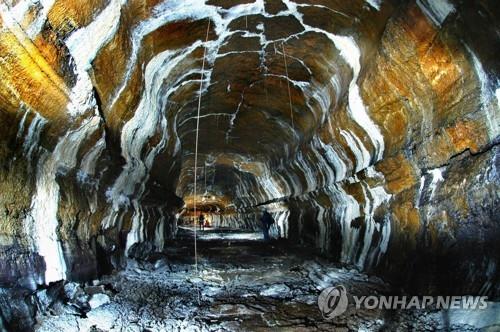 중앙과학관·문화재연구소·제주도, 제주자연유산 공동 학술연구