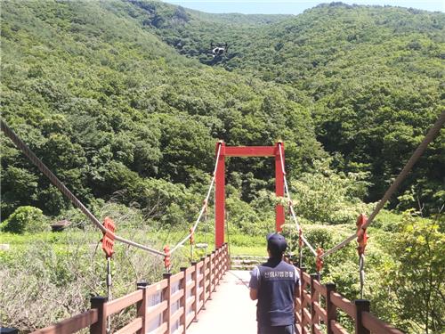 임산물 불법 채취 단속, '산림경찰'과 '암행 드론'이 나선다