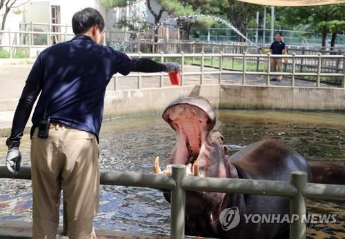 "사육사 꿈 키워요"…전주동물원 4∼11월 '진로상담 교실' 운영