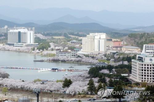 벚꽃 만개 앞둔 경주시 고민…축제 취소, 마라톤대회 비대면으로