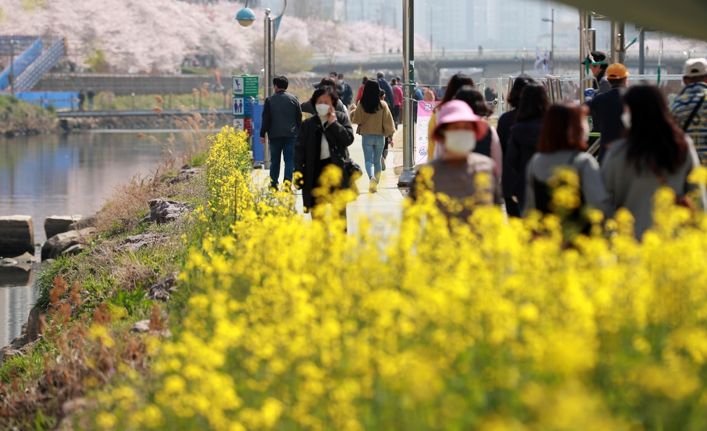 [르포] 벚꽃 만개에 집콕 탈출 러시…지자체 '방역구멍' 전전긍긍