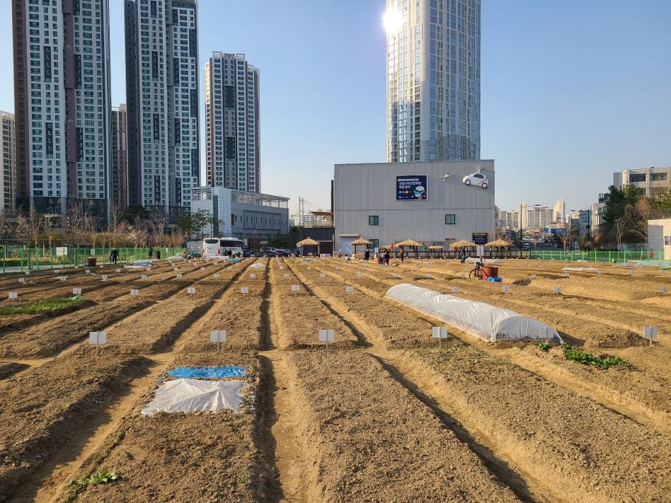 텃밭 가꾸며 '코로나 블루' 극복…도시농부 돼볼까