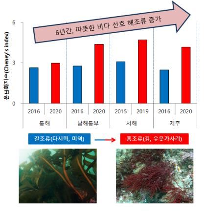 점점 따뜻해지는 바다…남해안 소라, 울진까지 서식처 확대