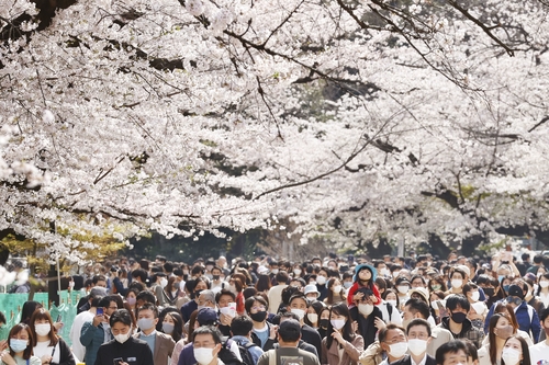 日코로나 신규확진 1천800명선 근접…일요일 기준 8주 만에 최다