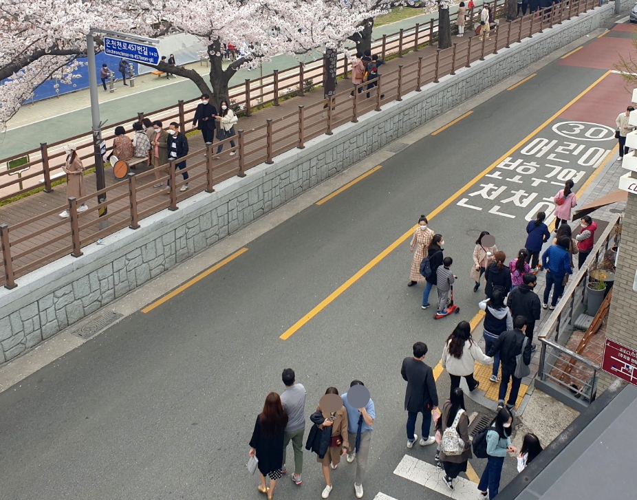 [르포] 만발한 벚꽃에 뻥 뚫린 방역…지자체 단속은커녕 먼 산 구경