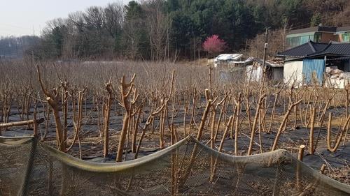 경찰, 군포시청 압수수색…대야미 땅 투기 의혹 강제수사(종합)