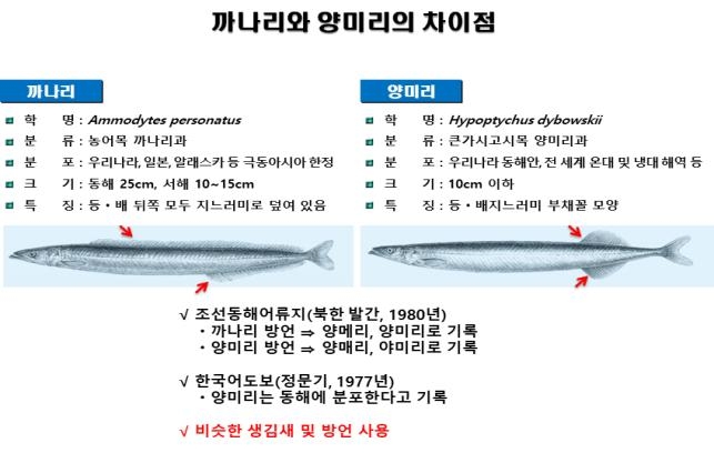 강원도, 세계 최초로 '까나리' 대량 생산의 길 열었다