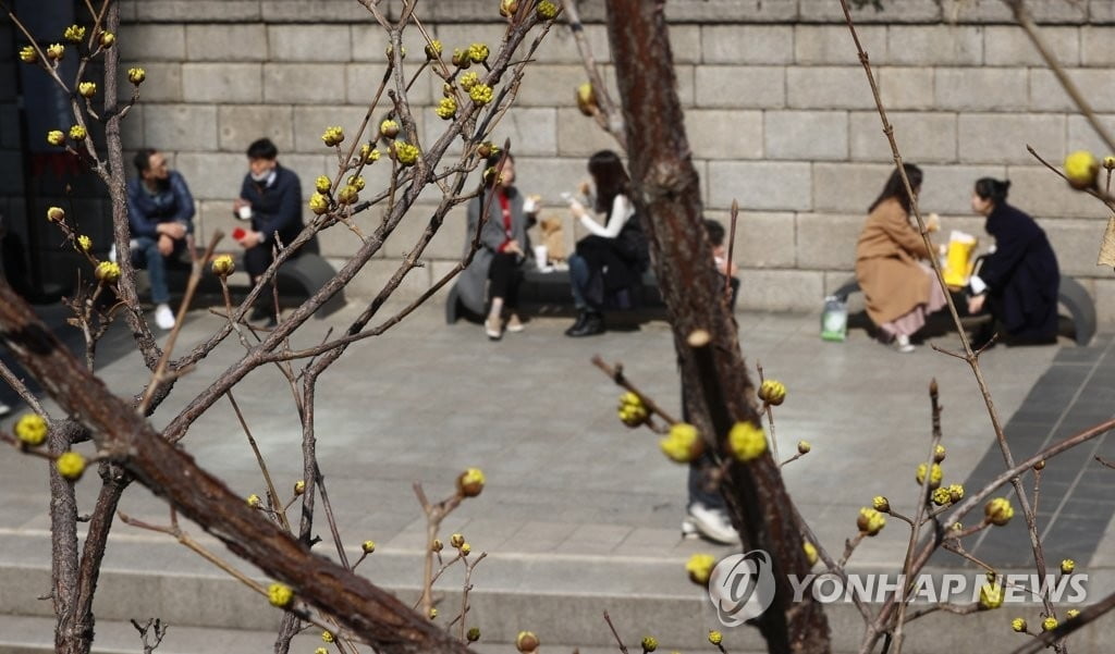 날씨 풀렸다…포근하고 따뜻한 토요일