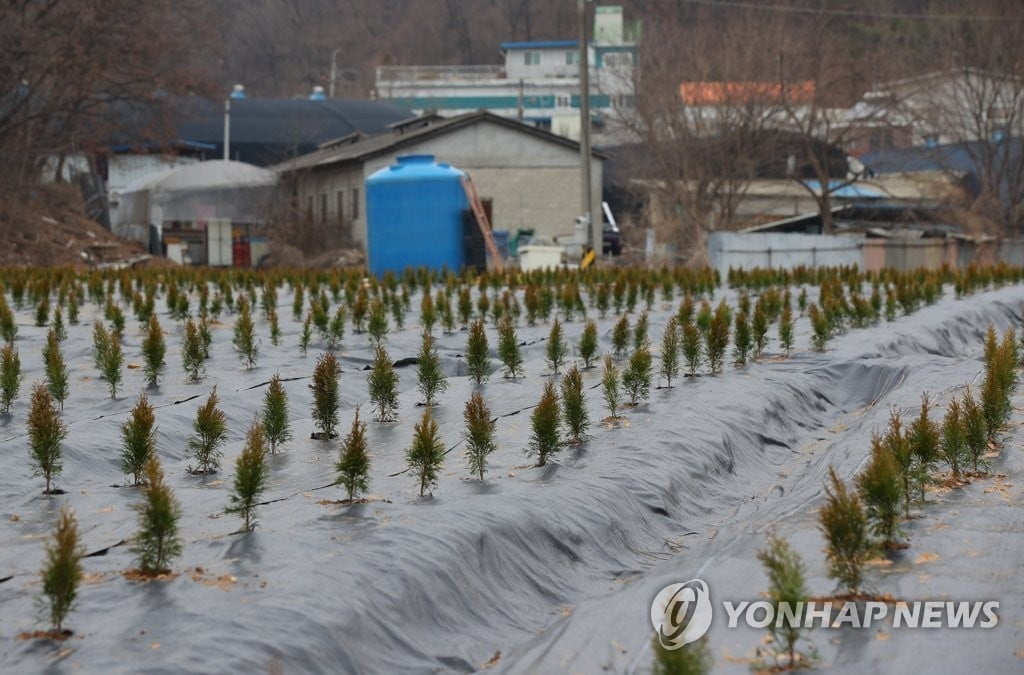 변창흠 질타한 與 "안일한 발언 국민께 더 큰 상처"