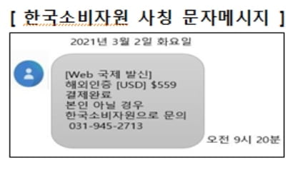 "해외결제 본인 맞냐"…한국소비자원 사칭 문자 주의