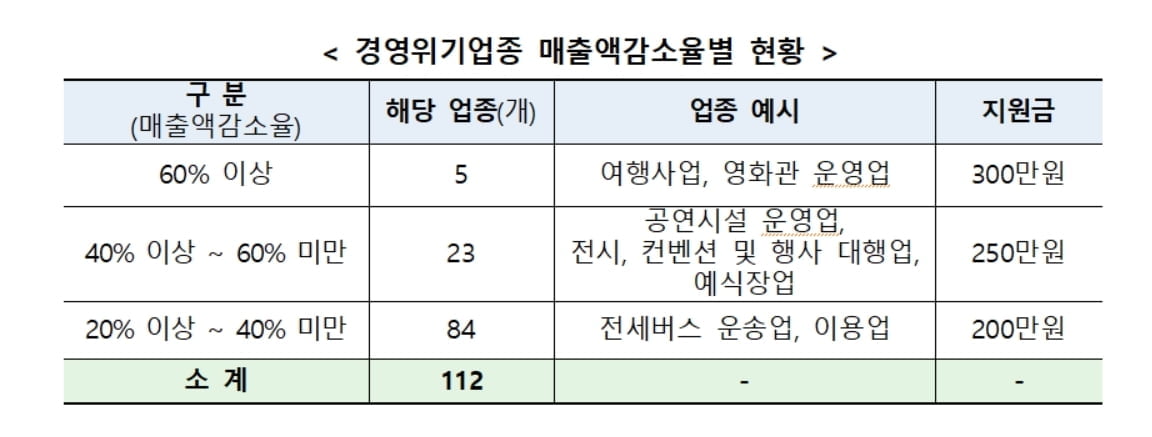 `버팀목자금 플러스` 지급 시작…여행사·영화관 등 112개 경영위기업종 지정