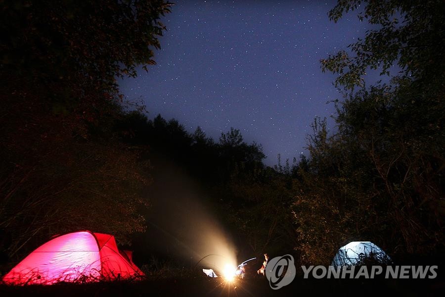 '하늘의 별따기' 캠핑장 이용권 사기로 수천만원 챙긴 20대 구속