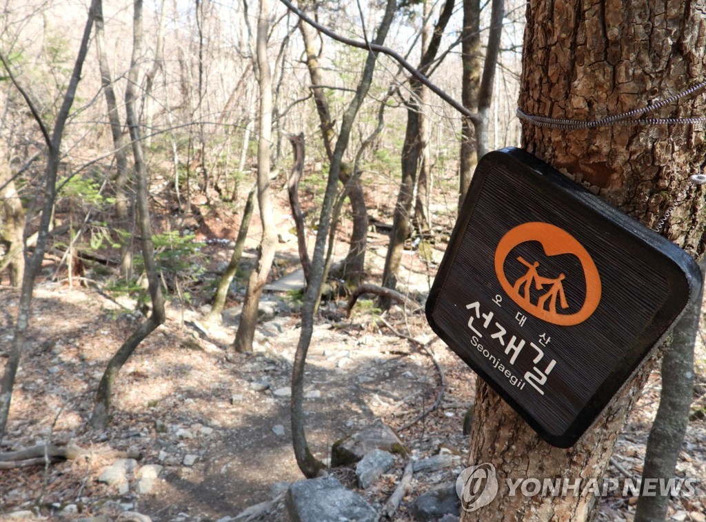 오대산국립공원 '깨달음을 찾아 떠나는 선재길' 전 구간 개방