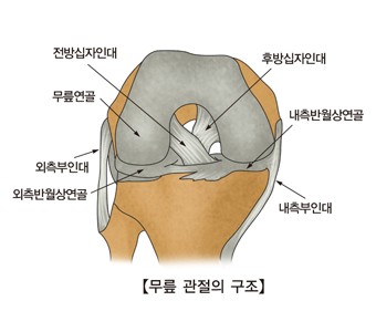 한해 4만명 무릎 전방십자인대 파열…"무리한 점프 등 삼가야"