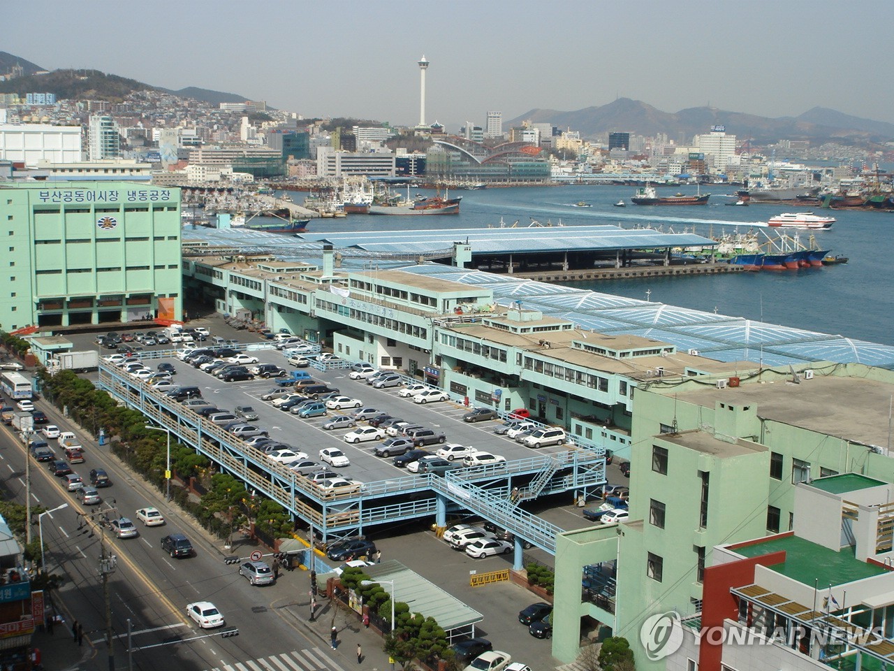 부산어시장 거래량 3분의 1로 감소…샘플경매로 운영 재개