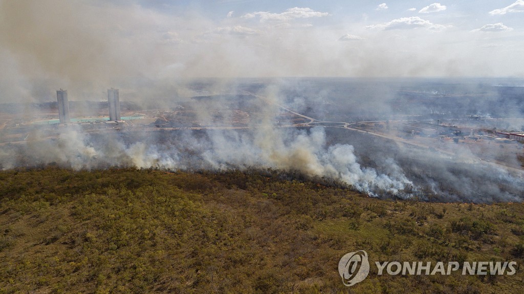 "G7 1인당 매년 나무 4그루 손실…대부분 열대지역서 벌채"