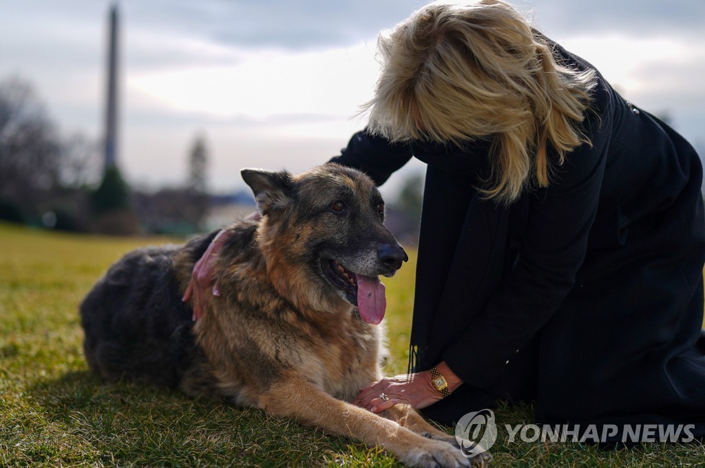 바이든 '퍼스트독' 경호원 깨물어 원래 살던 자택으로