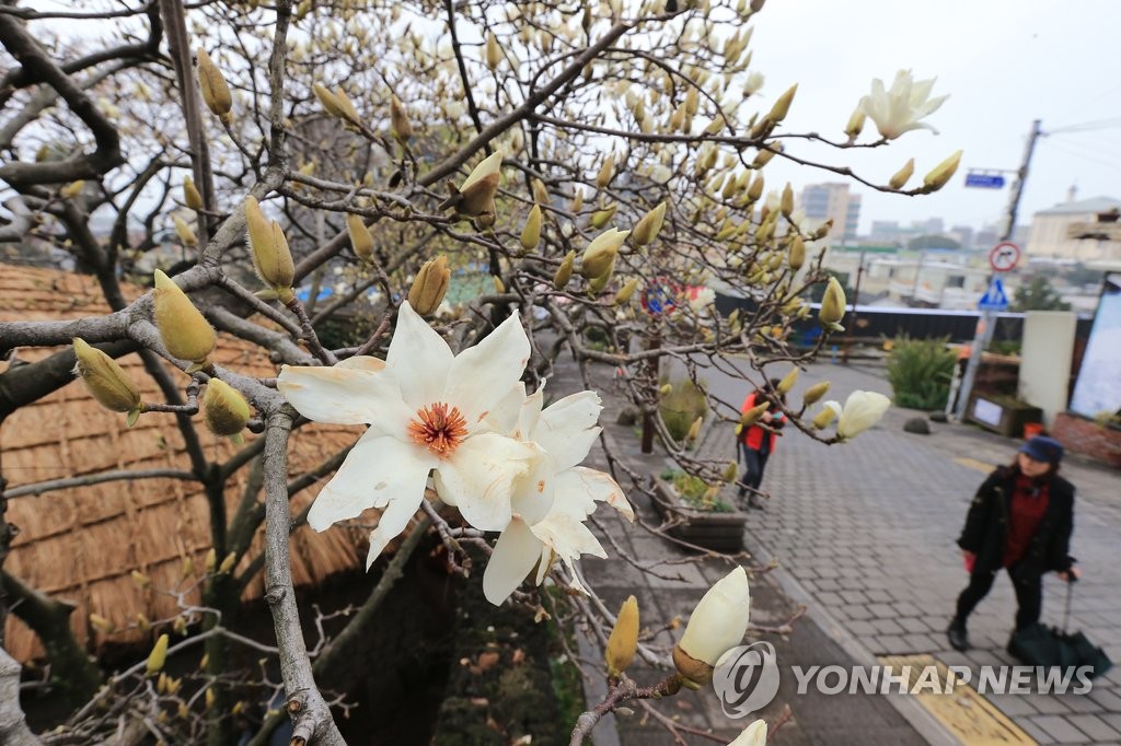 10년 맞은 서귀포 작가의 산책길 탐방·공연 '풍성'