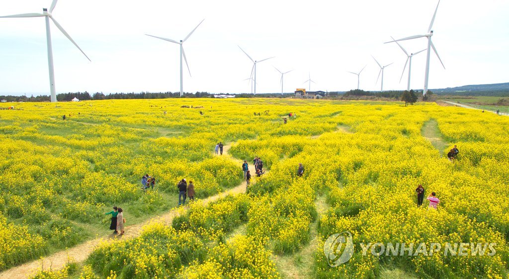 제주도에 남는 재생에너지 전력, 육지로 보낸다(종합)