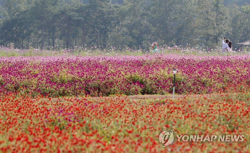 철원 고석정 유적 시굴 완료…다시 꽃밭으로 가꾼다