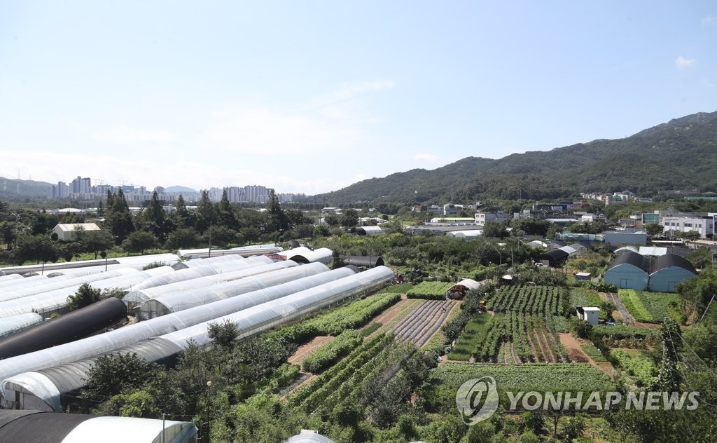 '지목 틀리고 무상용지도 보상할 뻔'…엉망인 LH 토지보상