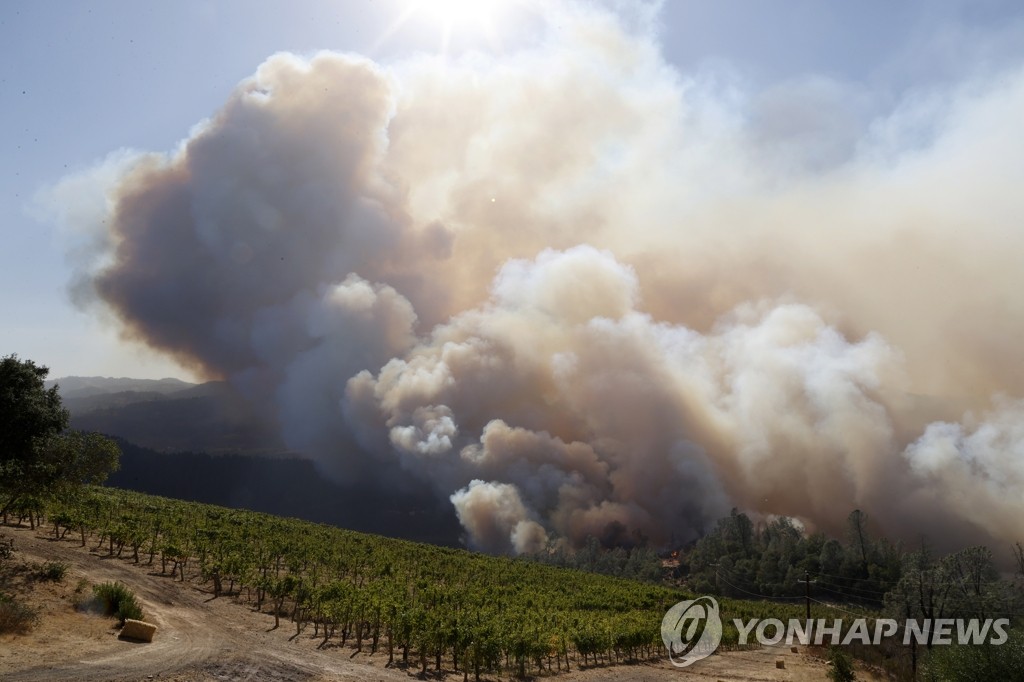 "지난해 대규모 산불에 북미만 대기질 악화"