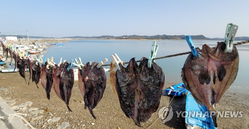 변화무쌍 겨울…대전·세종·충남 1월 기온 변동 신기록