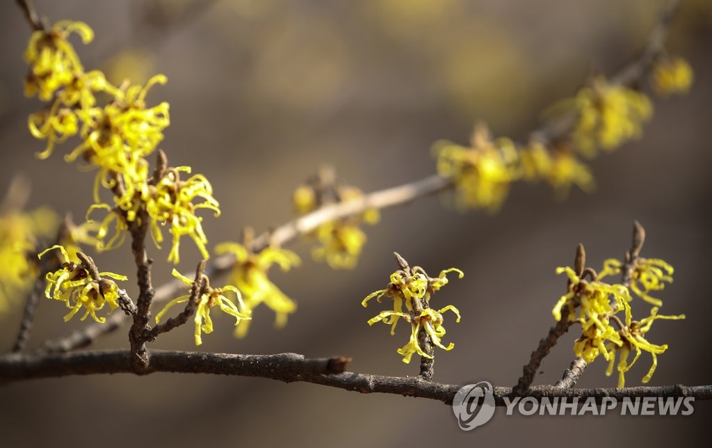 전북 대체로 맑고 낮 기온 16∼19도 '포근'