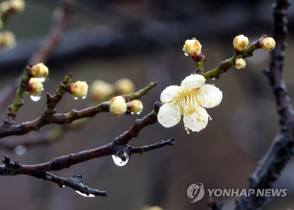 [내일날씨] 전국 구름 많고 곳곳 비…큰 일교차 주의